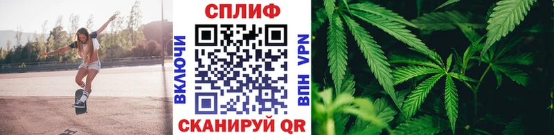 Где купить наркоту Адыгейск Бошки Шишки COCAIN Амфетамин Мефедрон Гашиш Альфа ПВП