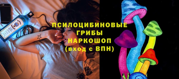 ПСИЛОЦИБИНОВЫЕ ГРИБЫ Абдулино
