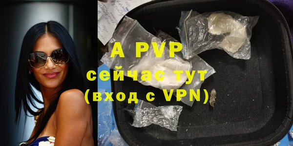 стаф Абинск
