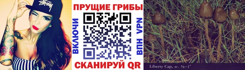купить   Адыгейск  гидра сайт  Псилоцибиновые грибы Psilocybine cubensis 
