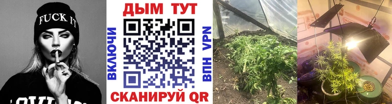 Бошки Шишки White Widow  даркнет сайт  Адыгейск 